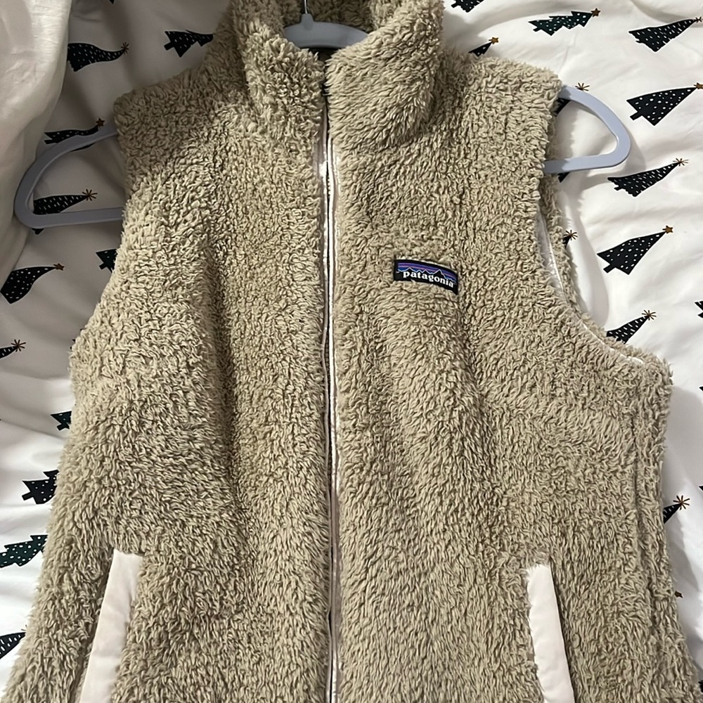 Patagonia vest